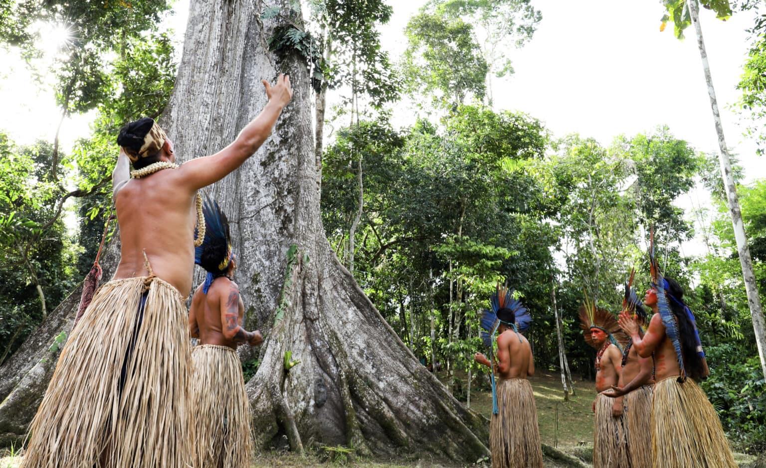 54300348946_5e0cefd874_o